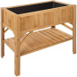 Raised Planter