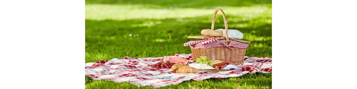 Cesta de picnic