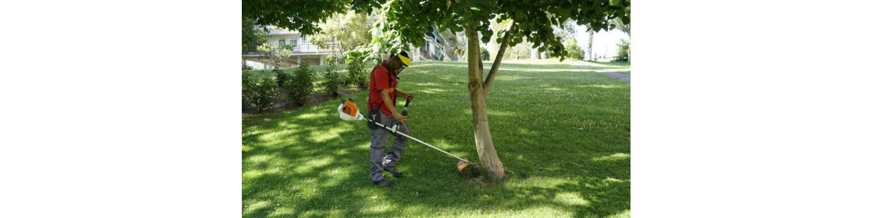 Garden Cleaning